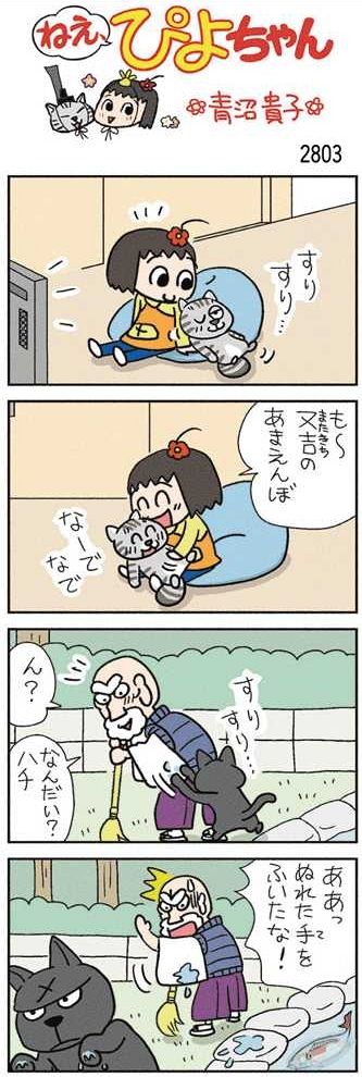 ねえ、ぴよちゃん：中日新聞Web