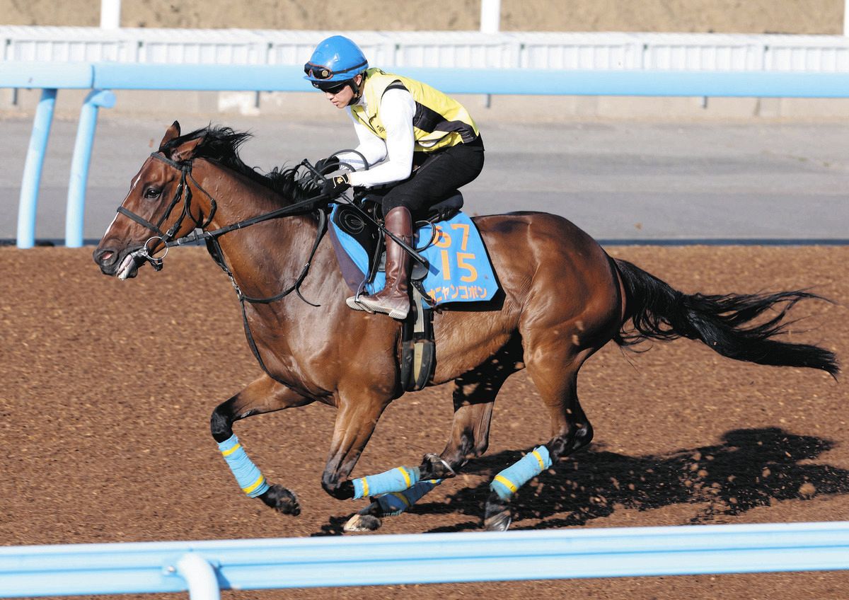 覚悟をみました」6歳馬オニャンコポンの七夕賞3着激走にネットも熱狂