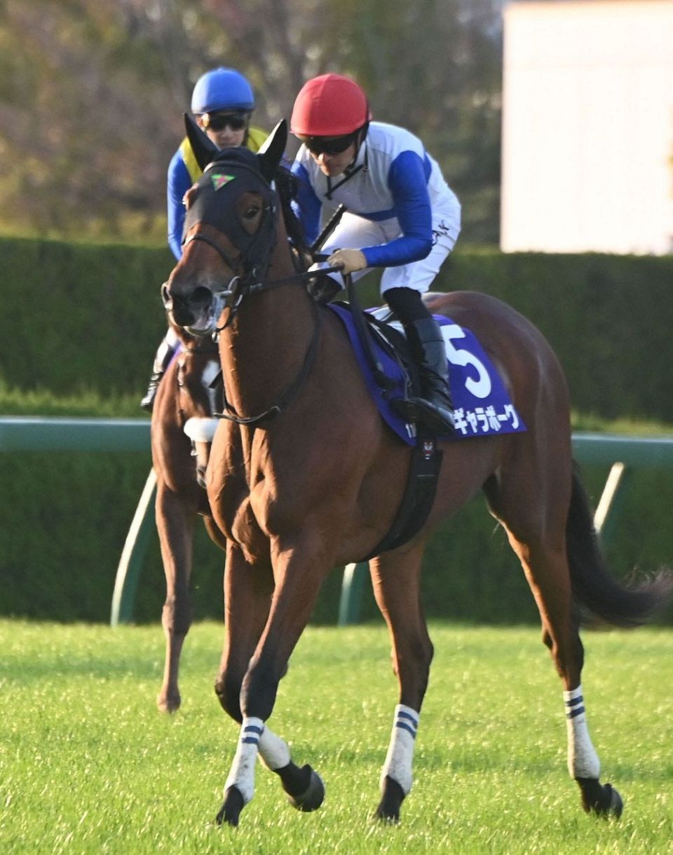 阪神JF】4番人気ギャラボーグ伸び脚及ばず2着 川田将雅騎手「背中の