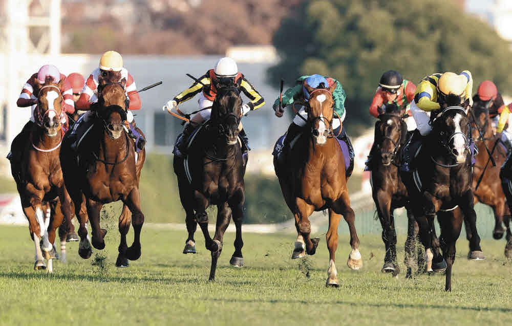 本城雅人コラム】日本の馬場制した小柄な456㌔、カランダガンの衝撃