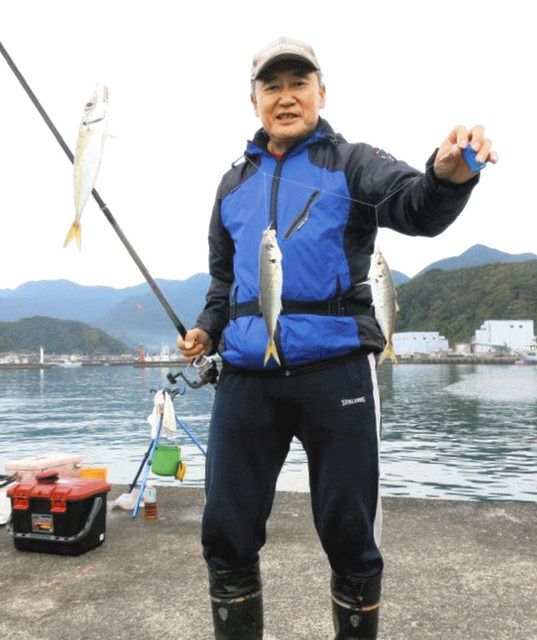 アジ大満足 三重県南伊勢町 奈屋浦漁港 中日スポーツ 東京中日スポーツ