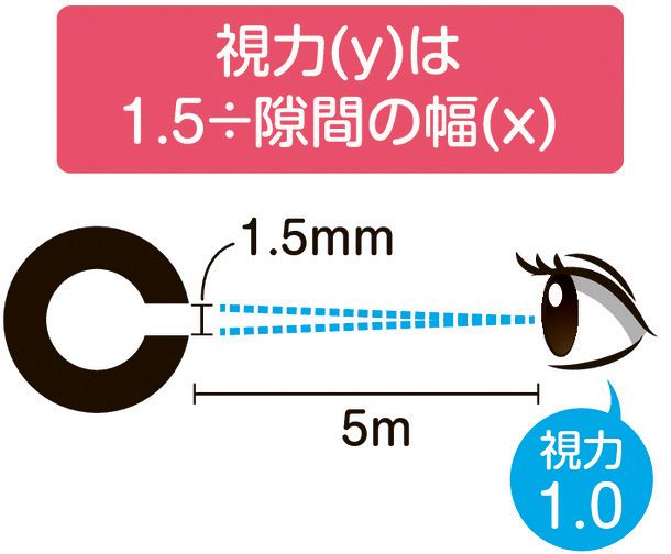 ウケる数学＞ 横山明日希さん 反比例を利用した視力検査：中日新聞Web