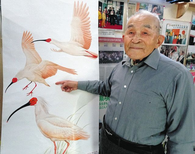 98歳 長寿「トキのおかげ」 保護活動の村本さん きょう誕生日：北陸中日新聞Web