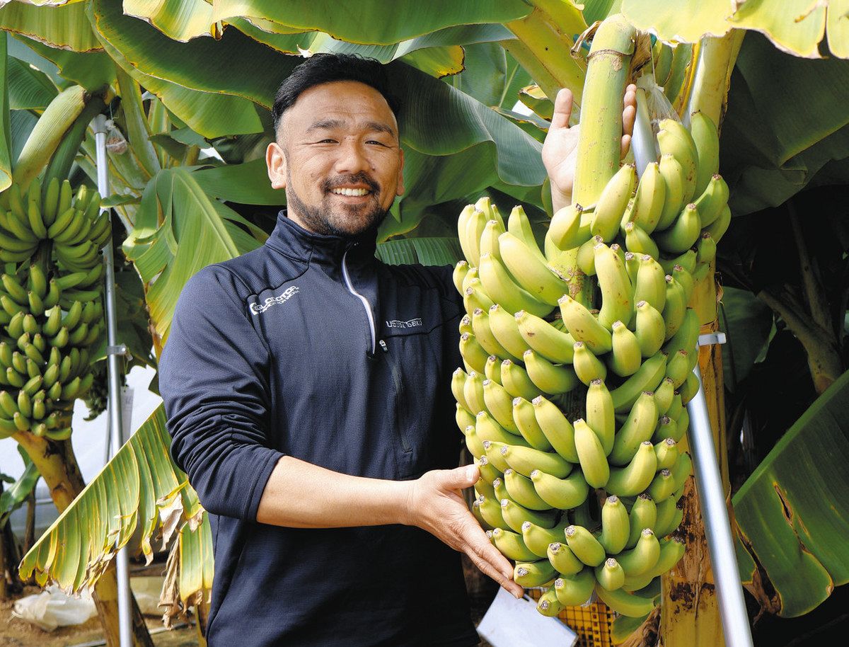 ※譲り先決定※【バナナミュージアム】 大阪市東成区】バナナ好き必見！バナナカステラがお得に購入できる