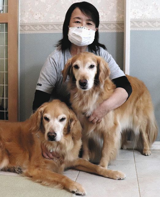 人もよう セラピー犬と訪問活動 太田恵里さん ６８ 中日新聞web