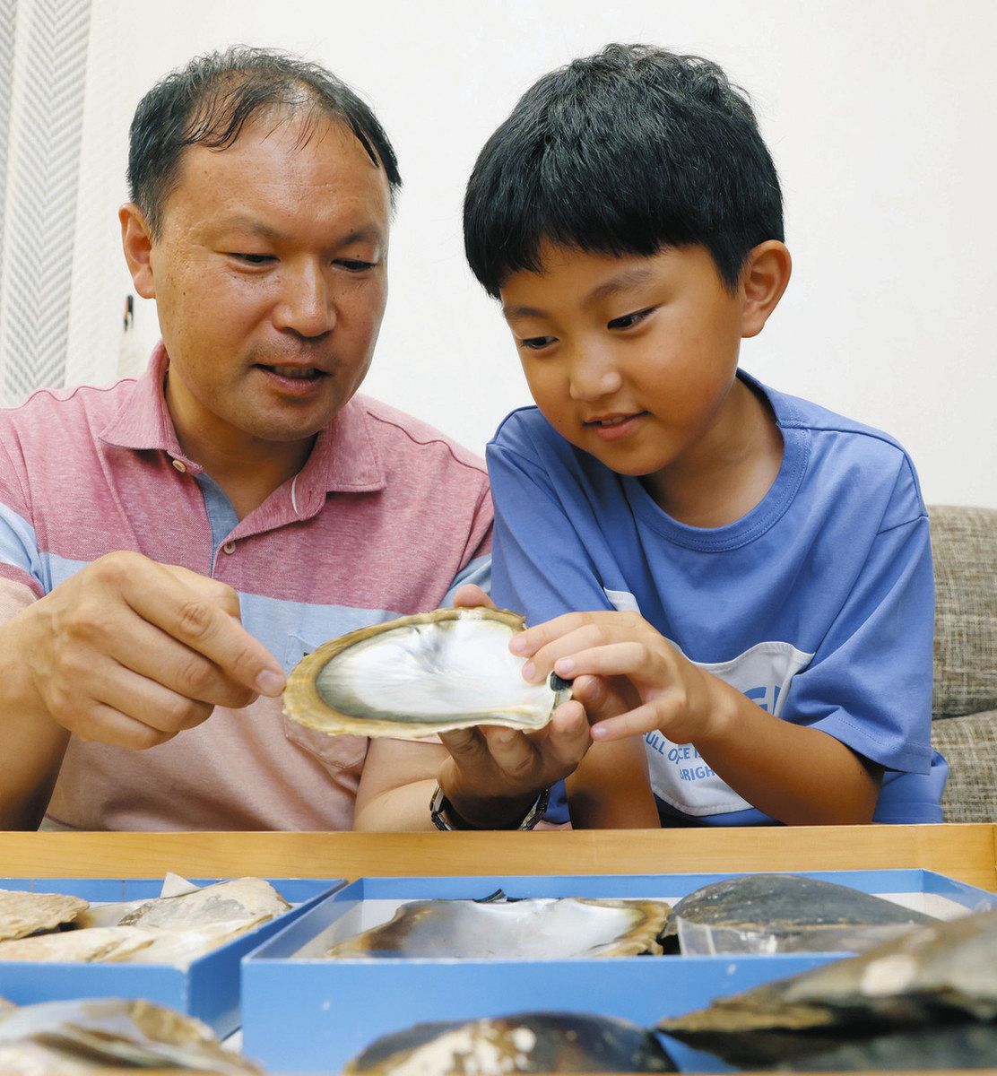 一宮の8歳が研究者の父より先に大発見？ 愛知県内での確認はおそらく