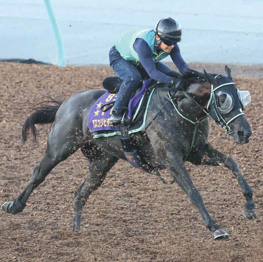 フランス・ジャックルマロワ賞】日本馬が27年ぶりフランスのマイル王