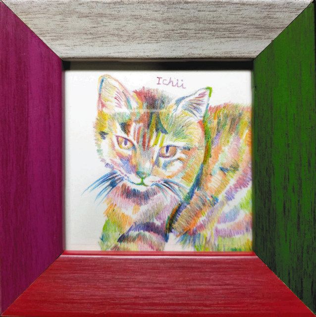 猫カラフルアート絵画本物 激安オンラインセール - www