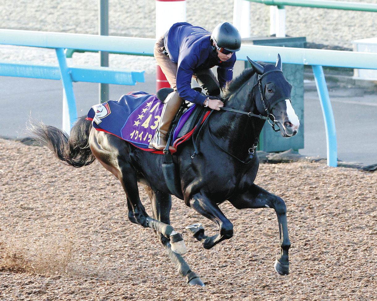 イクイノックスの木村師「天覧競馬と聞いて…心持ちは変化します イクイノックスの木村師「天覧競馬と聞いて…心持ちは変化します