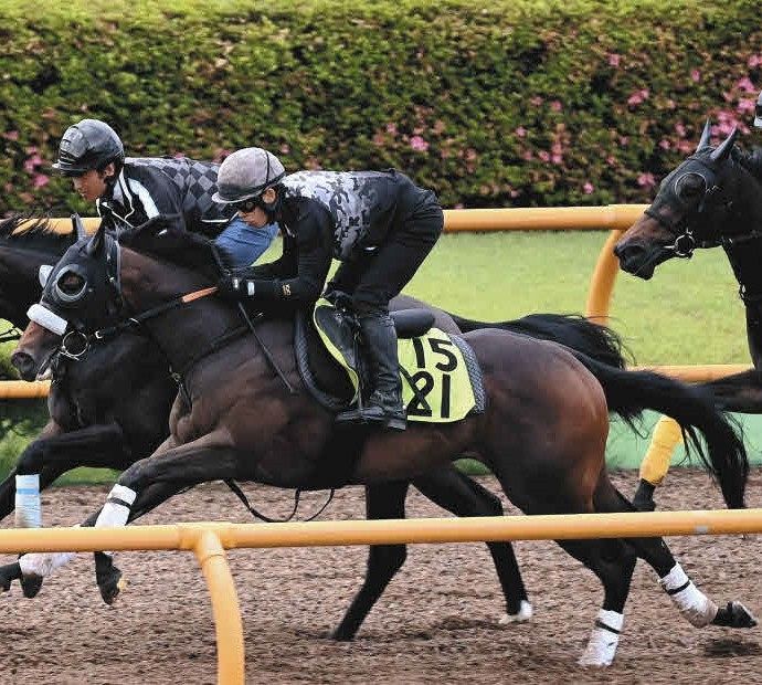 【当選品】函館競馬場　函館2歳S　レプリカゼッケン　ラインパシオン　大江原比呂 しゅんちゃん on X: 
