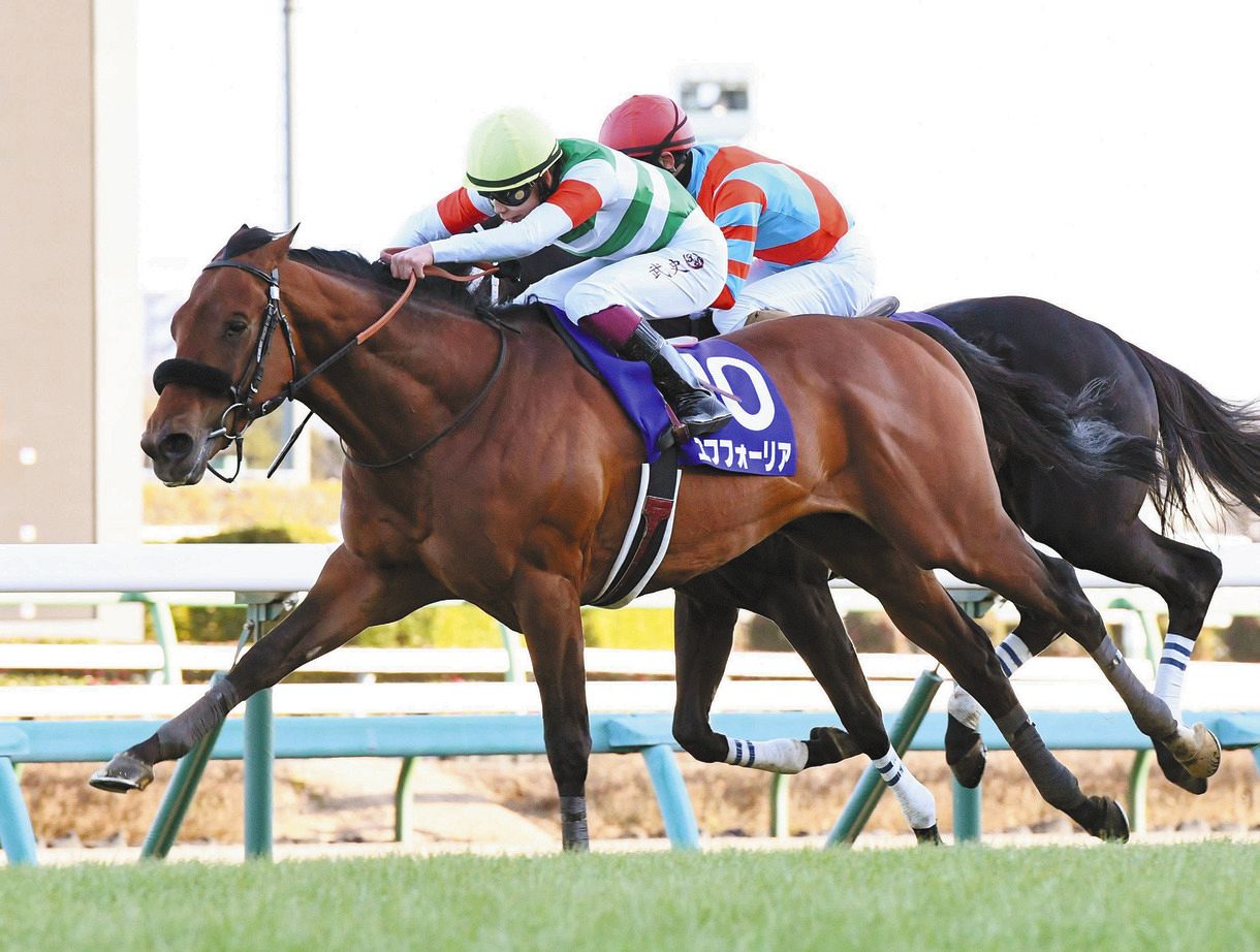 JRA賞】エフフォーリアが年度代表馬に選出 昨年G1で3勝：中日