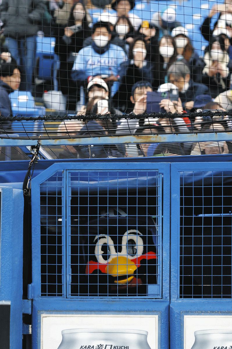 ◇関係者通路から、試合後のイベントをのぞき込む「つば九郎」【写真