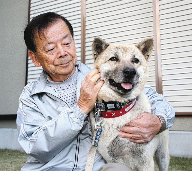 迷い犬 元気になりました 東区の田中さん保護 中日新聞しずおかweb