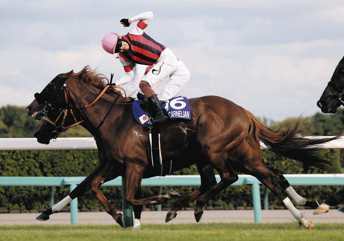 三浦皇成、127回目の挑戦で初GI制覇に「涙でた」「もらい泣き」SNS感動