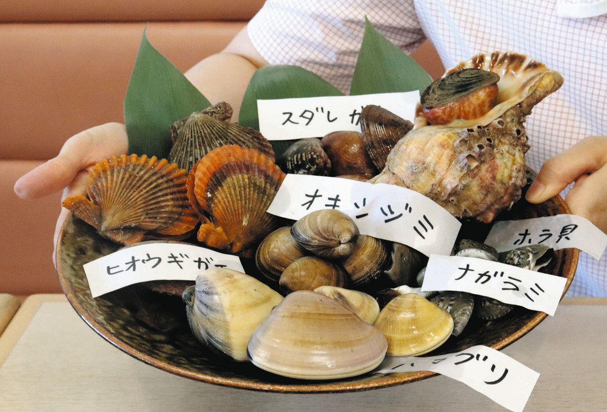 アサリの代わりになるのは？ 伊良湖岬観光協が貝7種の試食会：中日新聞Web