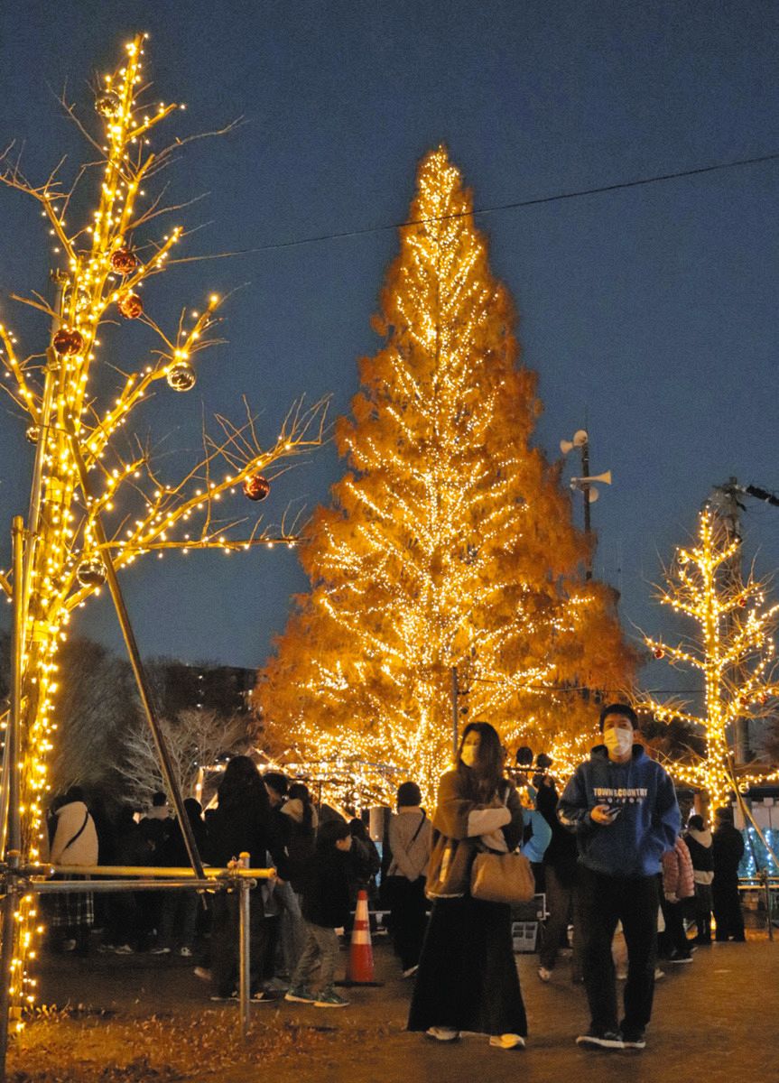 クリスマスツリー　森 708488_a.jpg