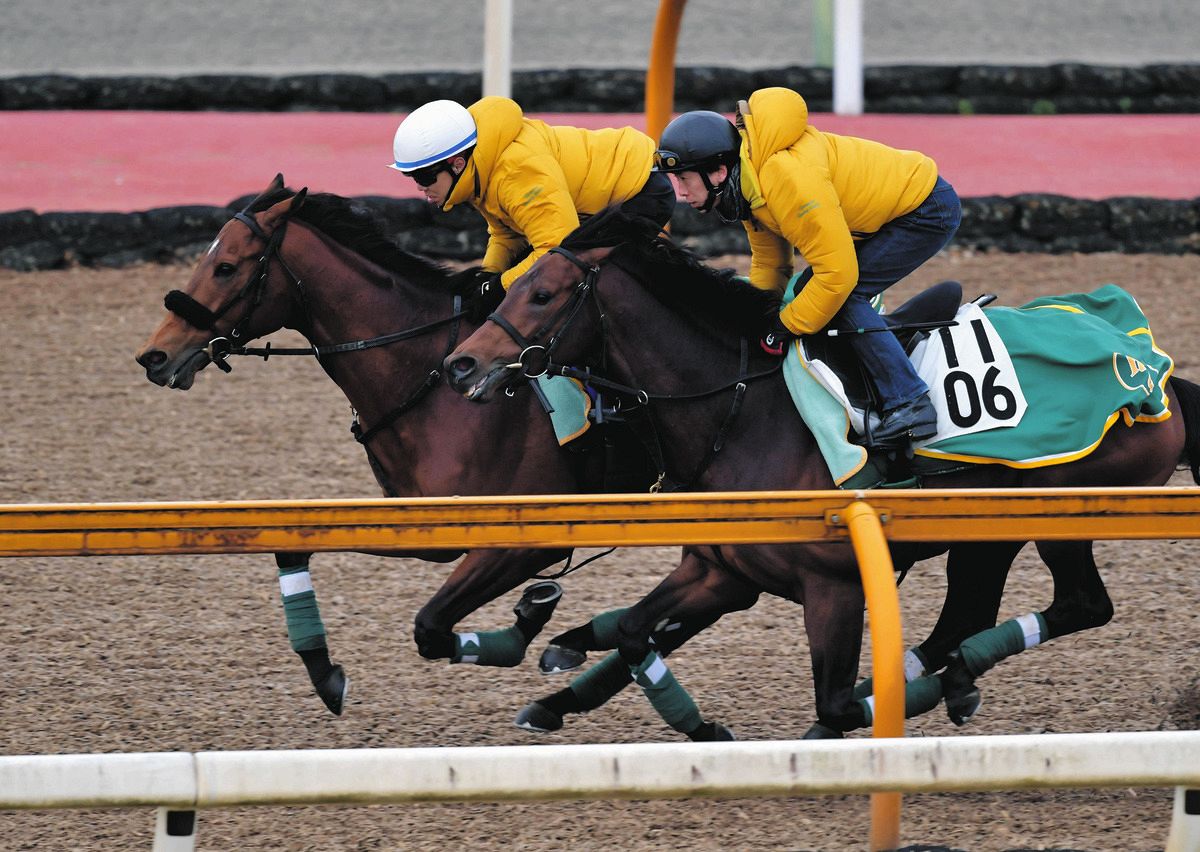 G1初制覇狙うベラジオオペラ「いい状態…良馬場ならなおさらいい」と上村師【大阪杯】：中日スポーツ・東京中日スポーツ