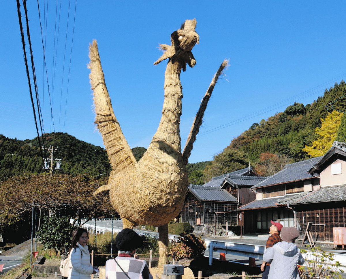 大迫力！稲わらの鳳凰お目見え 松阪「未来に羽ばたく社会」願う：中日
