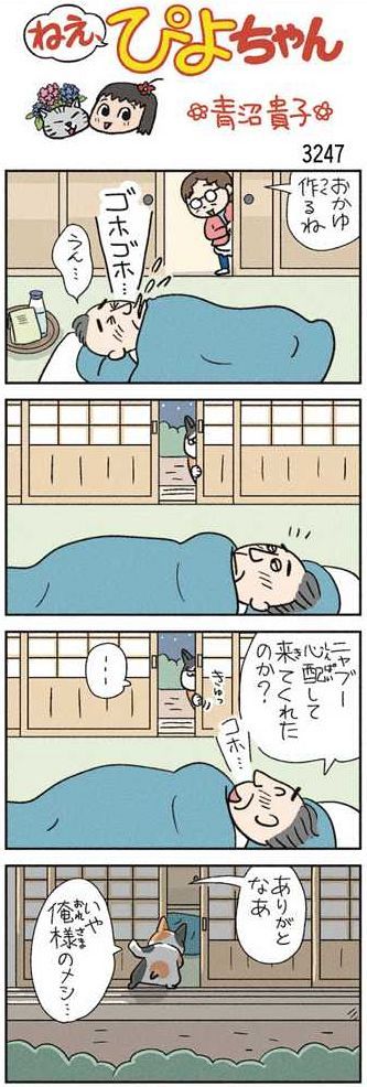ねえ、ぴよちゃん：中日新聞Web