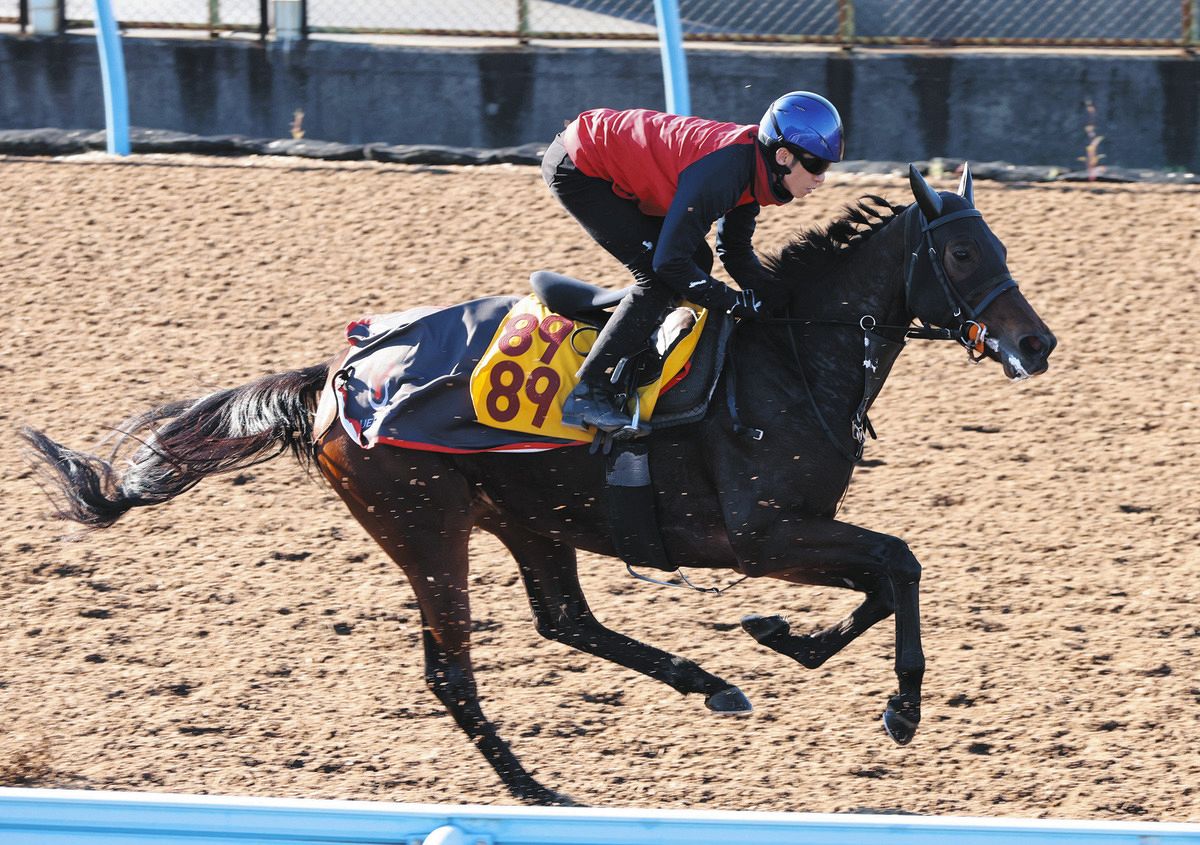 福島記念追い切り】喉の手術後3連勝で勢いに乗るニシノティアモは余力