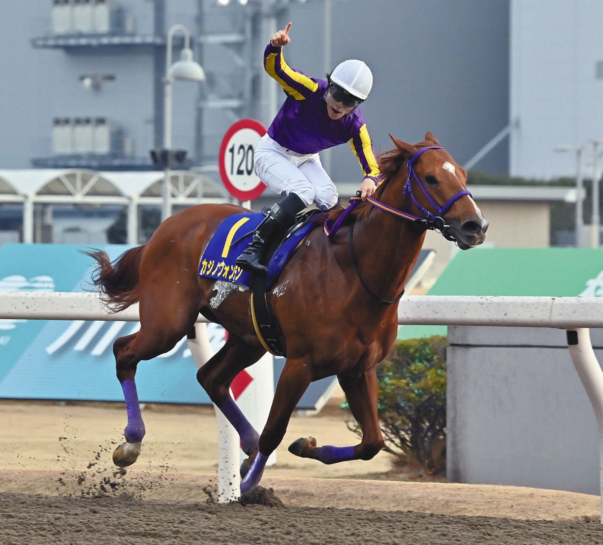 4番人気のカジノフォンテンがjpn1初制覇 オメガパフュームに追撃許さず 張田昂リベンジに歓喜 川崎記念 中日スポーツ 東京中日スポーツ