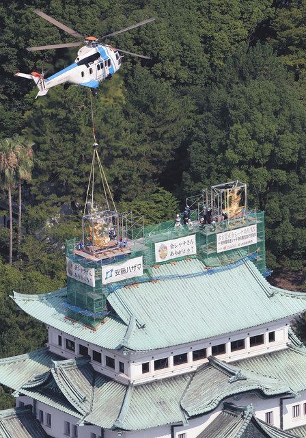金シャチ、天守にただいま 名古屋城に帰還：中日新聞Web