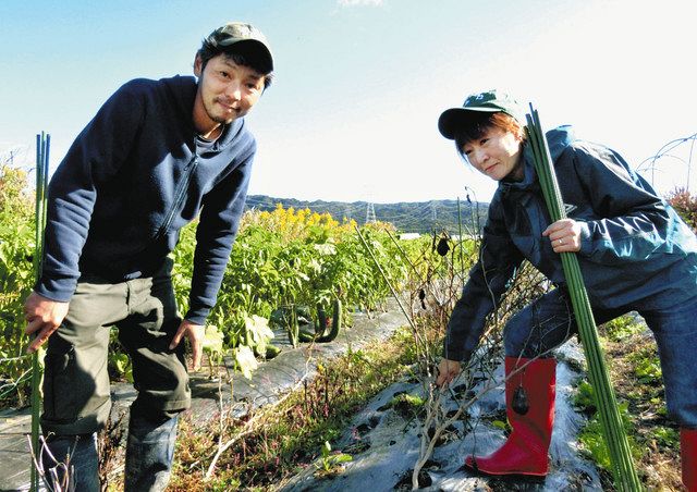 畑作業をする沢村悠行さん、純子さん＝石川県羽咋市内で 