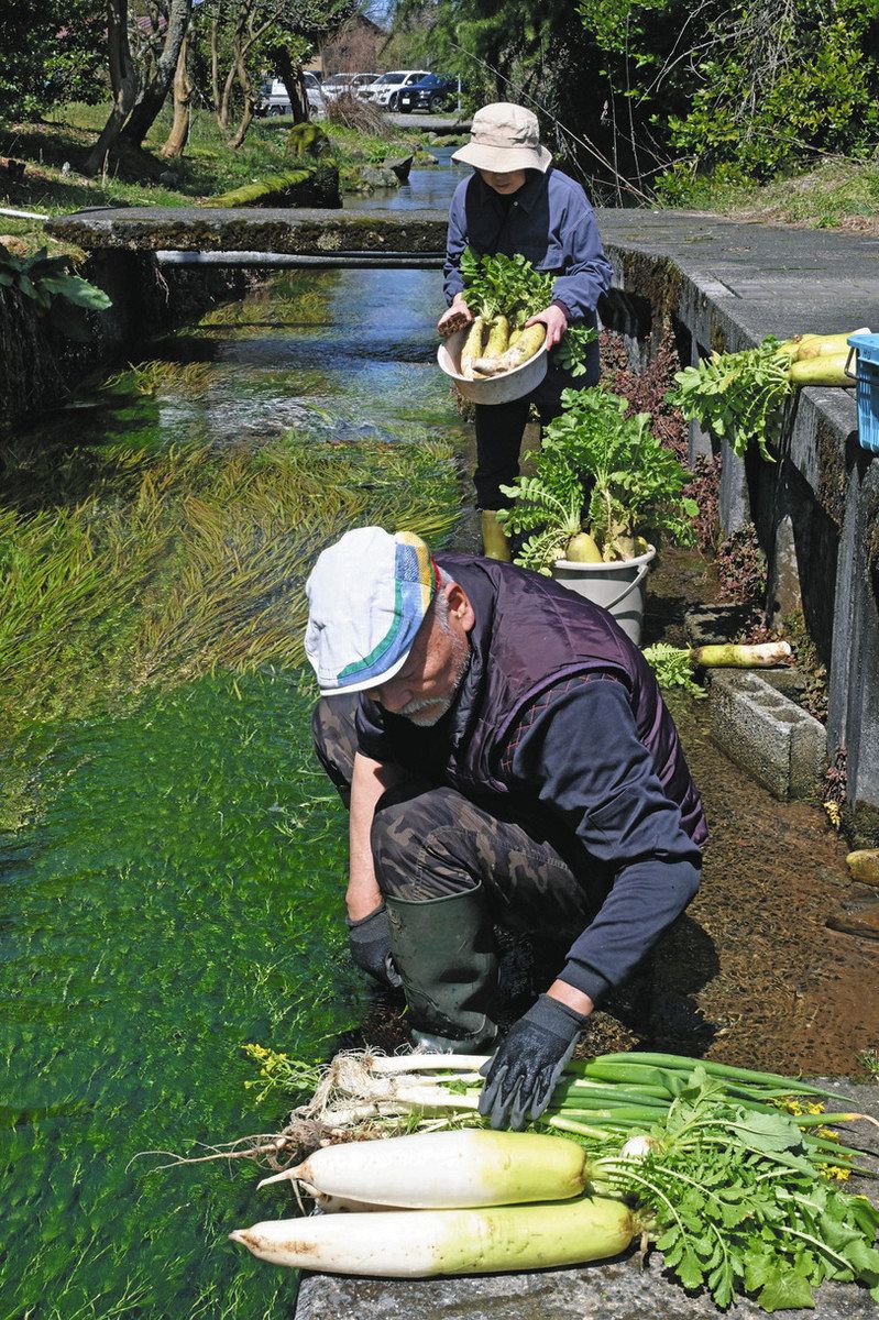 はっとする透明な流れ 治左川：日刊県民福井Web