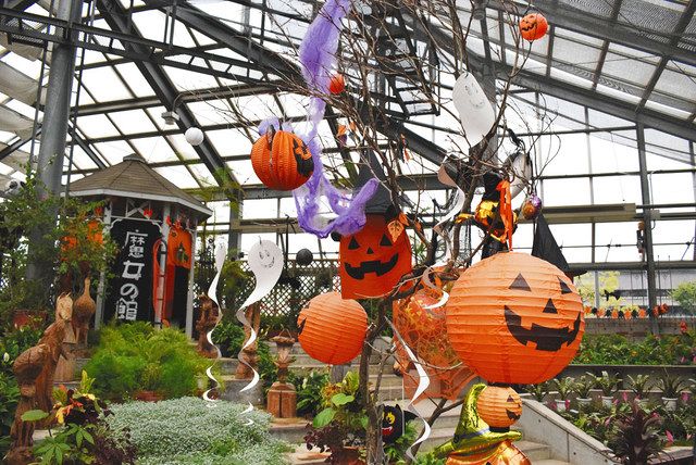 佐布里ふれあい公園でハロウィーン催し 花の館に 魔女の館 中日新聞web 佐布里ふれあい公園でハロウィーン催し 花の館に 魔女の館 中日新聞web