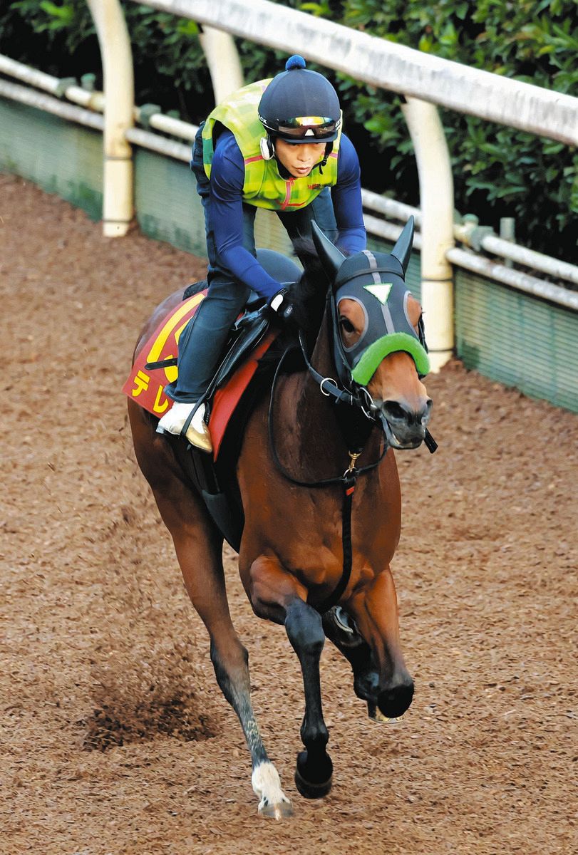 福島牝馬S】アドマイヤマーズ産駒テレサ、1800メートルは過去2勝 杉山