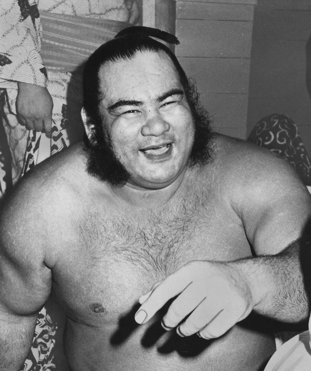 チ*マ様 大相撲　浴衣　反物　安青錦 安治川部屋　チューリップバッグ チ*マ様 大相撲 浴衣 反物 安青錦 安治川部屋 チューリップバッグ チ