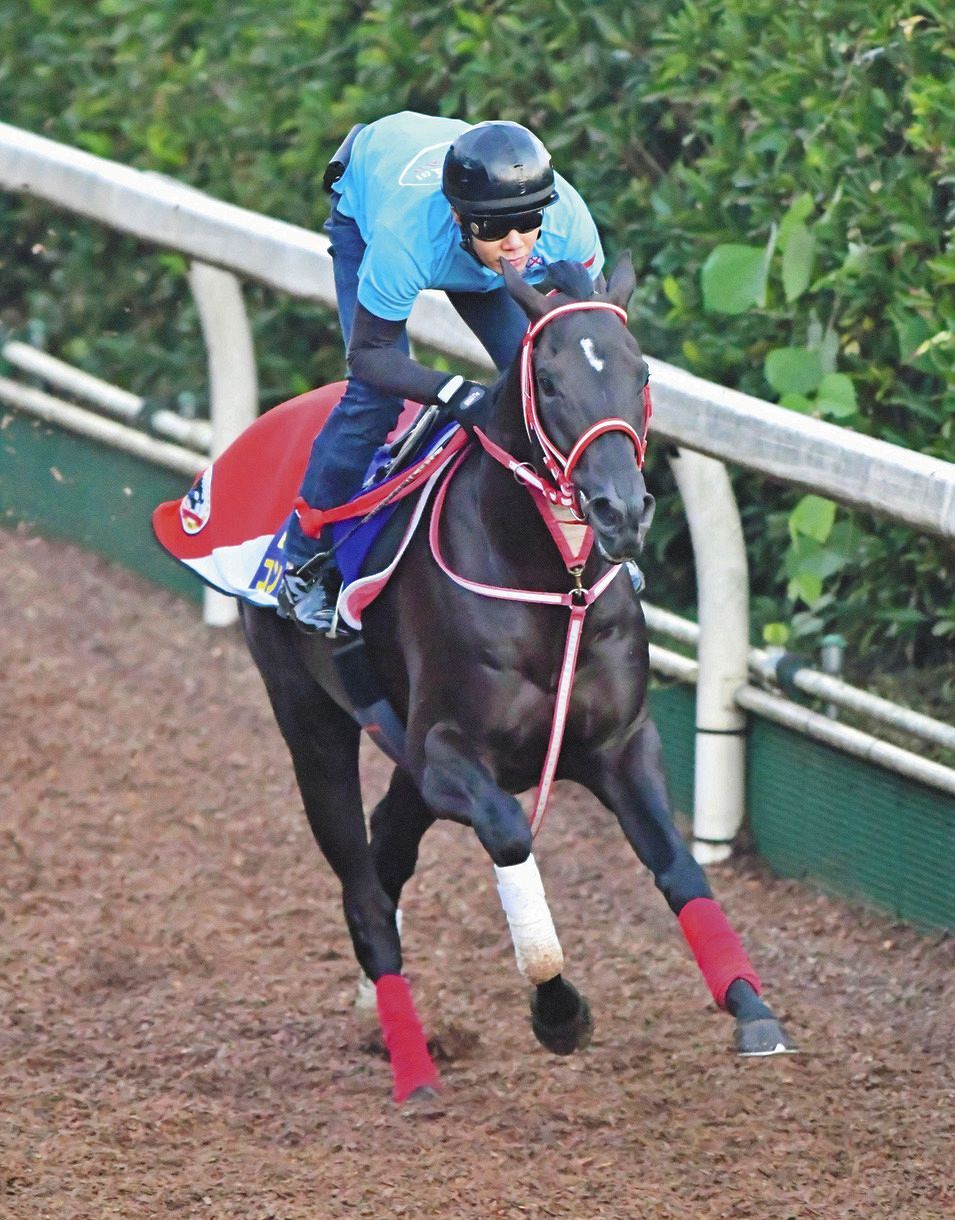 コントレイルは無敗の三冠へ唯一の死角は重馬場!? 矢作師「あとは雨が