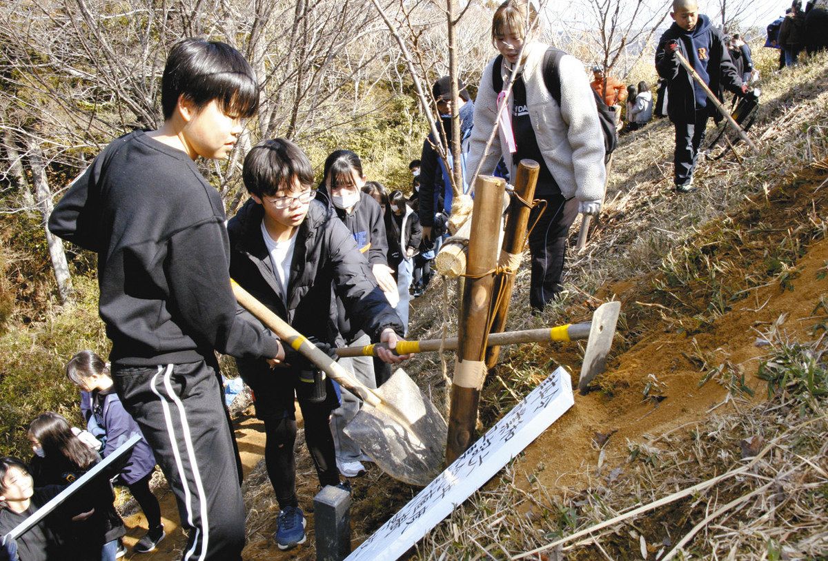 卒業記念として桜の植樹をする児童たち＝津市の立石山記念の森で
