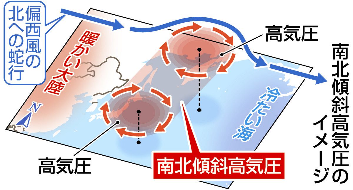 北日本で近年の猛暑頻発なぜ…三重大など仕組み解明 「南北傾斜高気圧