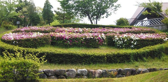 名物ツツジの花壇 見ごろ 七尾 希望の丘公園 北陸中日新聞web