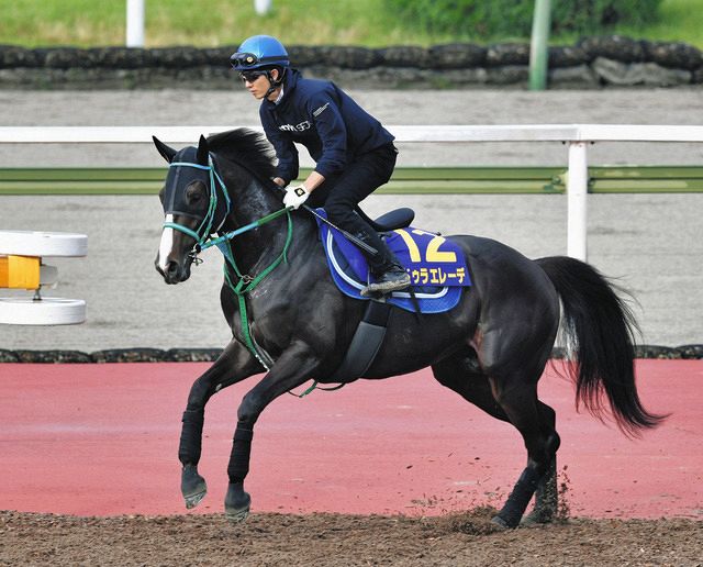 競走馬記念ブルゾン ドゥラエレーデ