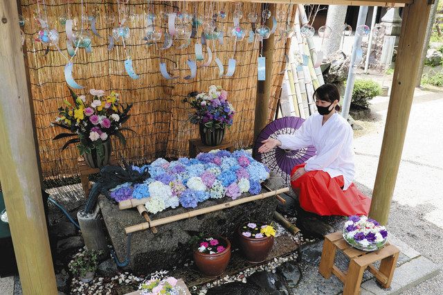 涼しげアジサイ花手水 明和 竹神社 中日新聞web