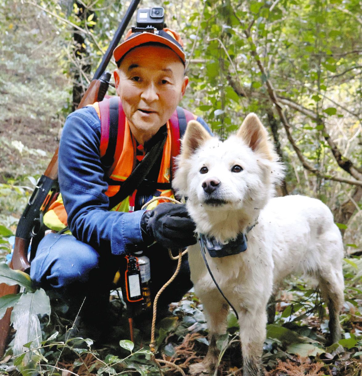 動画】遅咲きだけど、一番人懐っこい「ナイン」 三重県の山で狩猟の