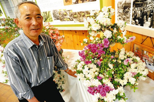 手塩にかけたサツキを展示 長浜で山田さん、28日まで：中日新聞Web