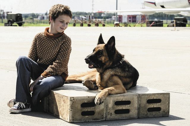 少年と飼い主待つ犬の友情物語 日ロ合作映画 ハチとパルマの物語 中日新聞web