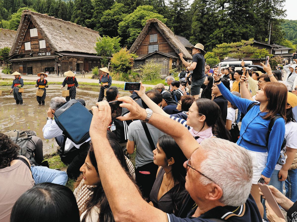 ちょぼん、ちょぼんと」合掌集落に響く 白川村・田植え祭りにぎわう