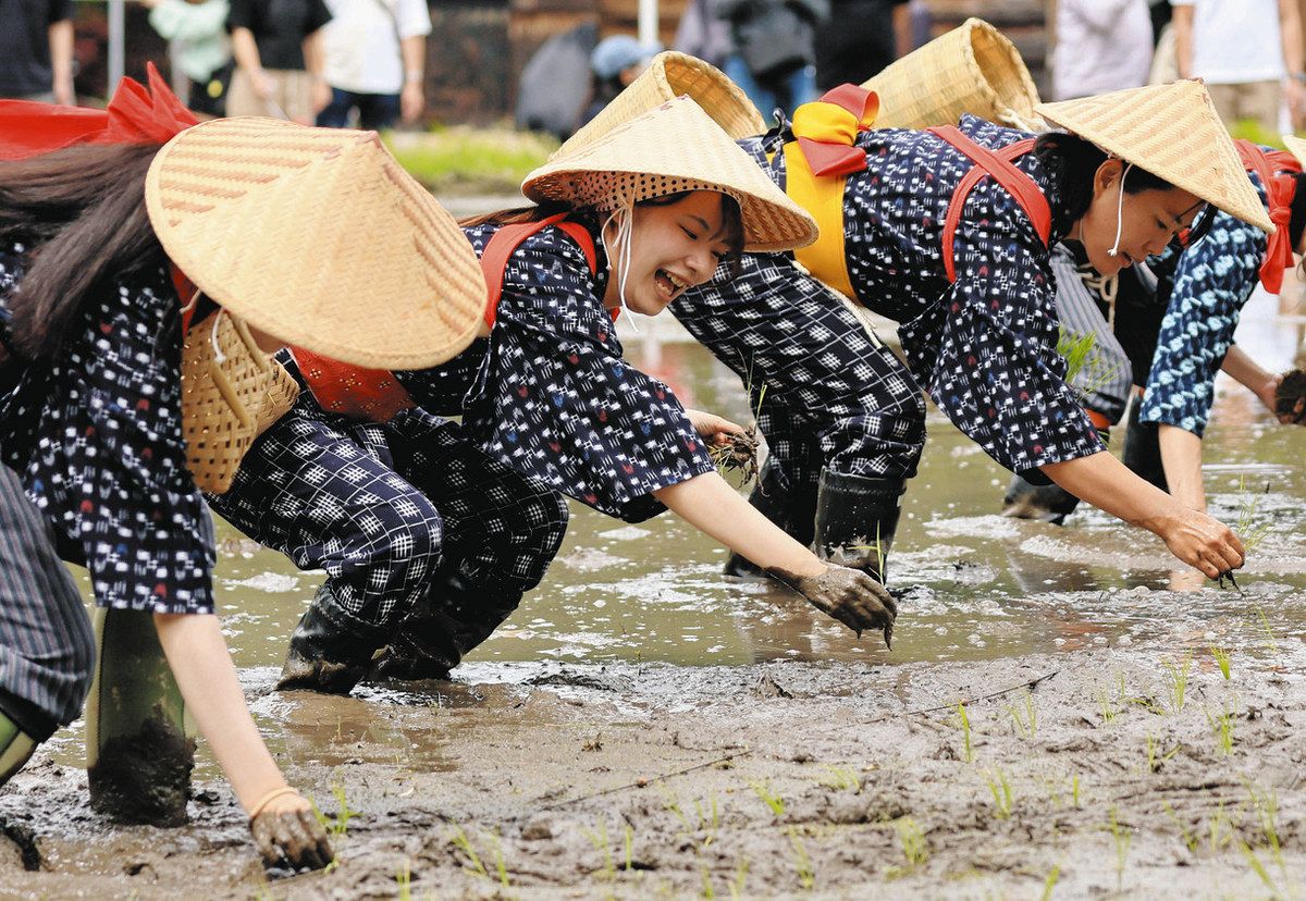 状態良好 田植え定規 田植え枠 昭和レトロ アンティーク 石川県白山市 
