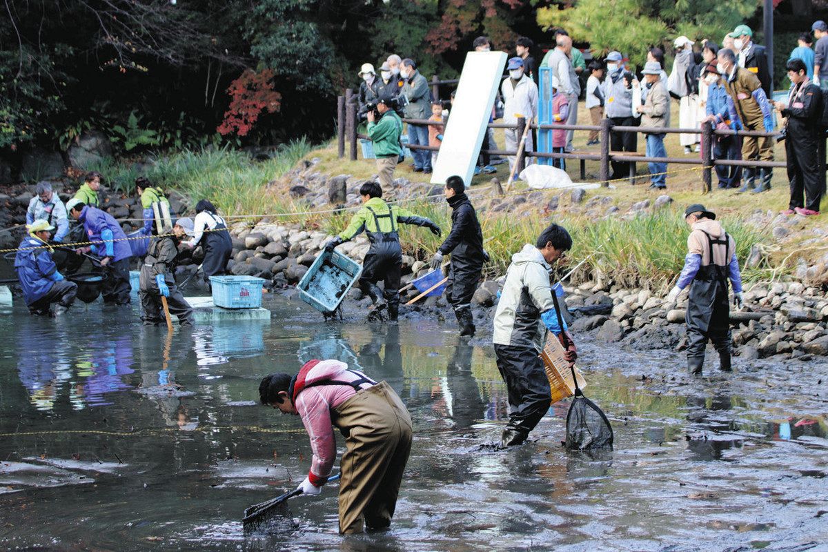 池をきれいに、外来種何とかしたい」小3の熱意、安城を動かす 小3杉浦君発案、秋葉公園「ひょうたん池」水抜き作業：中日新聞Web