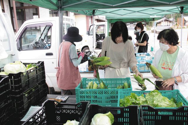 新鮮、朝採り野菜ずらり 開田の軽トラ市にぎわう：中日新聞Web