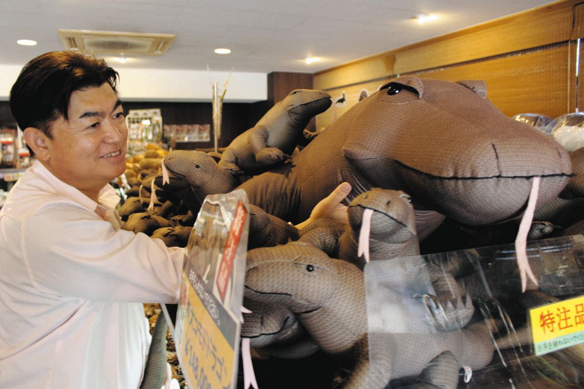 コモドオオトカゲのオリジナルグッズを見つめる白輪剛史園長