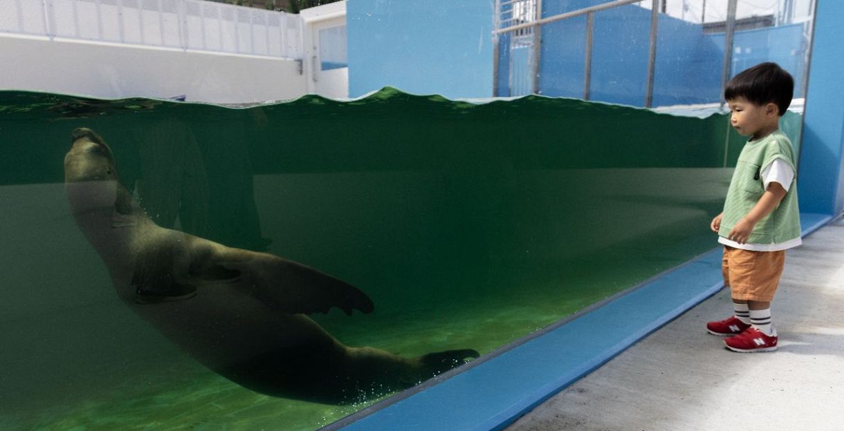 動画・写真多数】不気味? 怖い!? 興味深い深海の世界!! 竹島水族館が