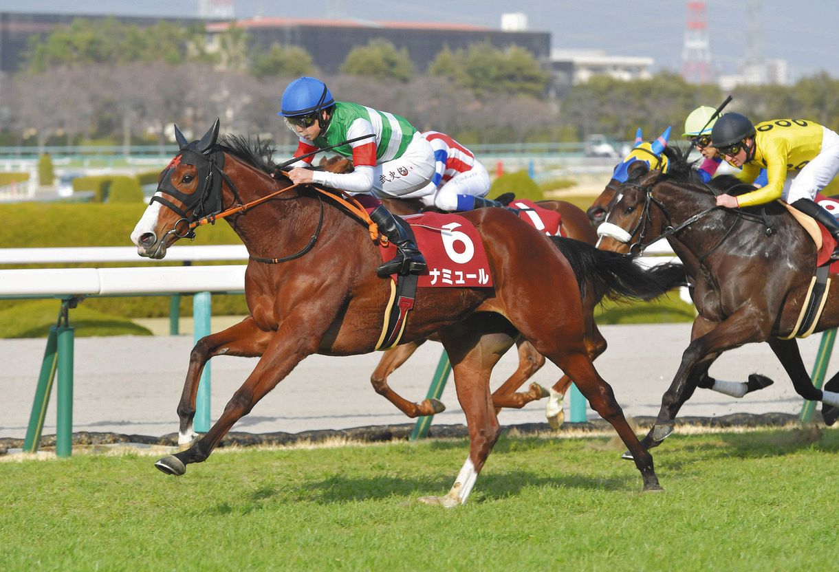 ナミュールのチューリップ賞Vで”非SS系”ハービンジャー産駒が黄金時代築くか【村本浩平コラム】:中日スポーツ・東京中日スポーツ