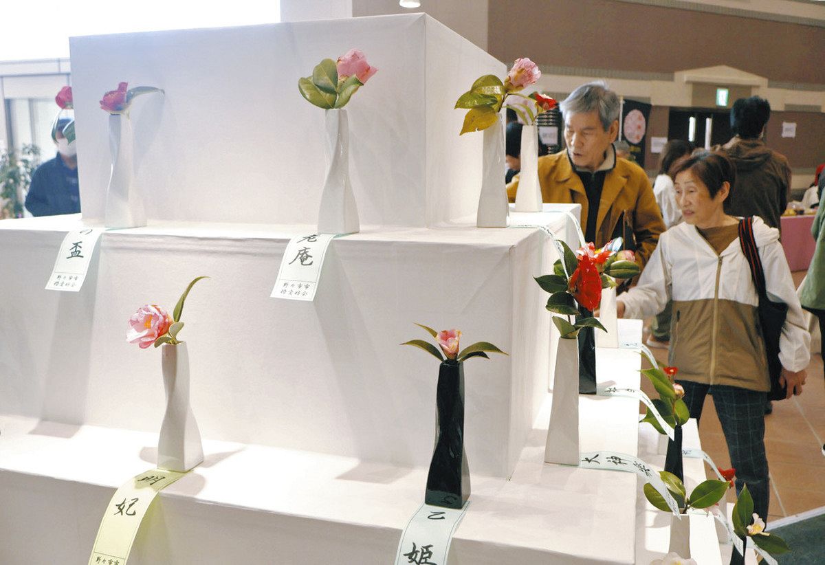 野々市 満開 富樫家通パネルもお披露目 椿まつり開幕：北陸中日新聞Web
