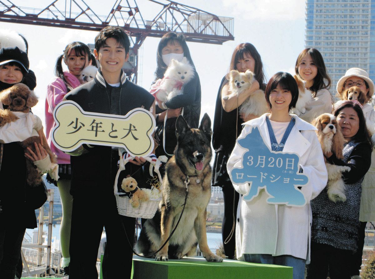 西野七瀬「どこを見てもかわいい」57匹の犬に囲まれ映画『少年と犬』PR