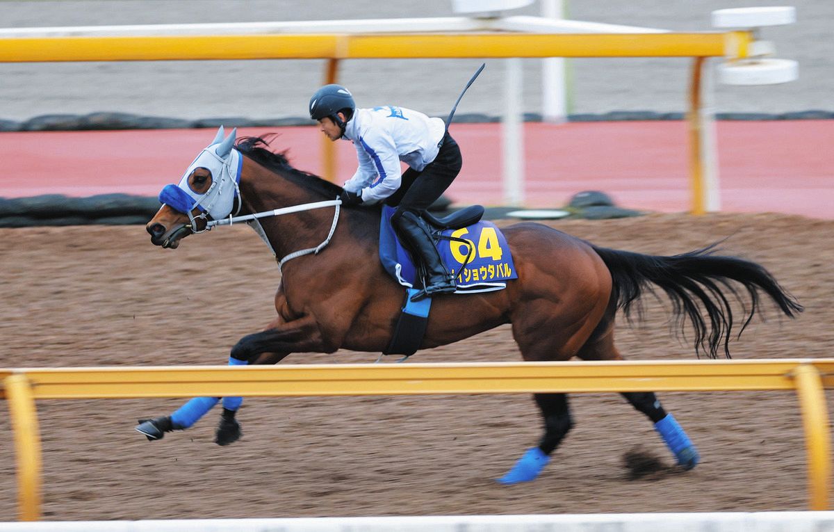 熊沢重文さんの二刀流予想】大阪杯は阪神3戦3勝とコース好相性の